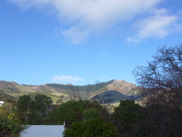 Oinako Bed & Breakfast Akaroa Habitación foto